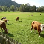 Kahr Rossbrand *