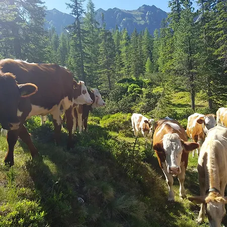 Kahr Rossbrand Radstadt
