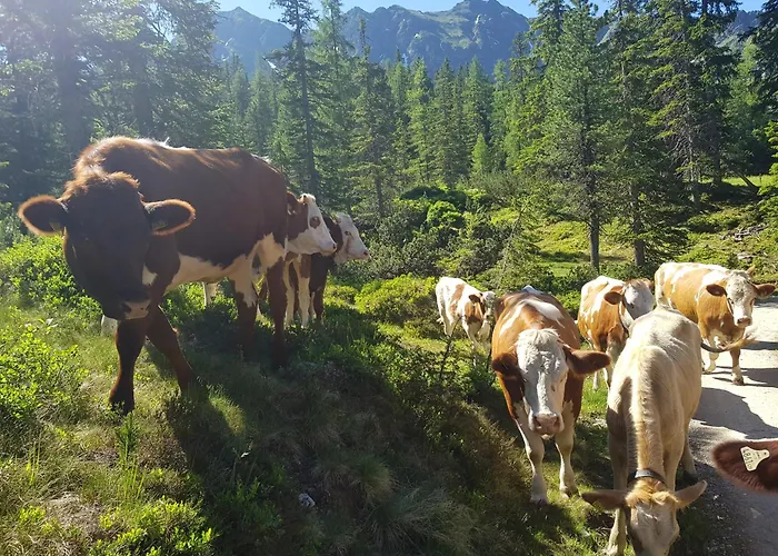 Kahr Rossbrand ラートシュタット